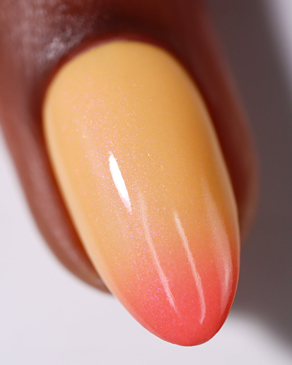 Koi Whiskers